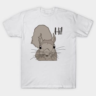 Fox Eastern Gray Japanese Squirrel Lover Squirrel T-Shirt